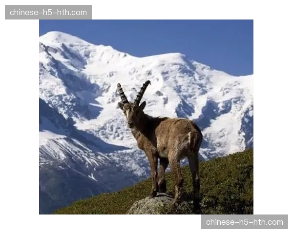 城市与自然的边界：北美“步道共享”协议化解山地车手与徒步者的矛盾